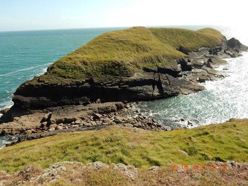 Sheep Island